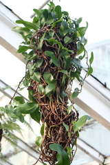 Killikus&reg; Fotographie